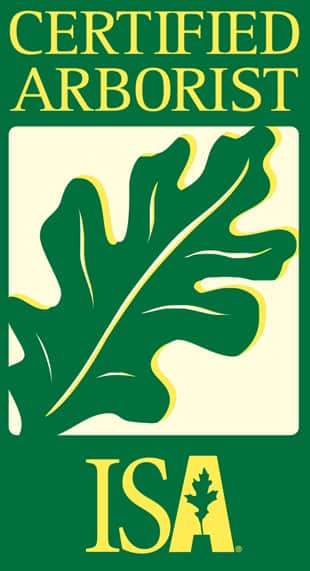 Completed tree service projects by Mike the Tree Guy across the Charlotte area
